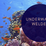 Professional underwater welder