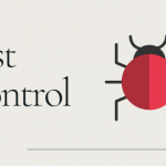Natural Pest Control Service