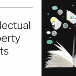 How are Intellectual Property Rights Obtained?